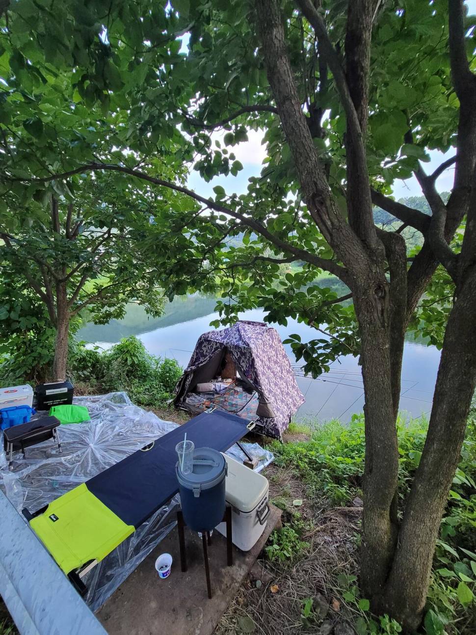 오랜만에 인사드립니다 (조황조행기 - 화보조행기)