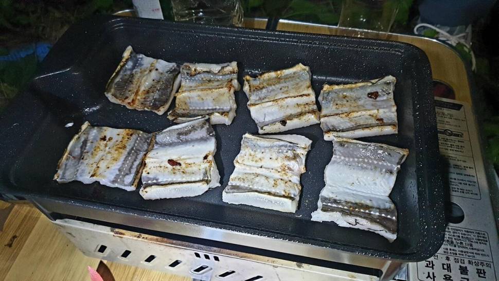 멧돼지놀이터 (조황조행기 - 화보조행기)