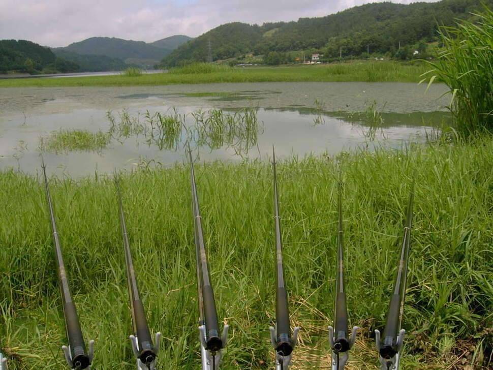 비온후를 노려라 조치원 고복지 (조황조행기 - 화보조행기)
