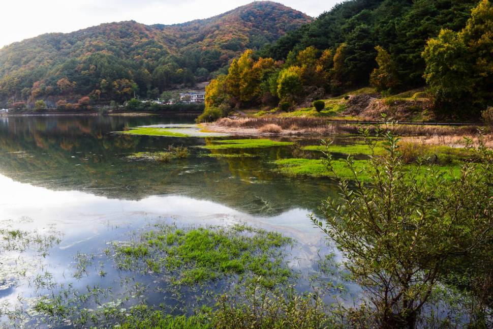 공간의 낚시 조행기 (조황조행기 - 화보조행기)