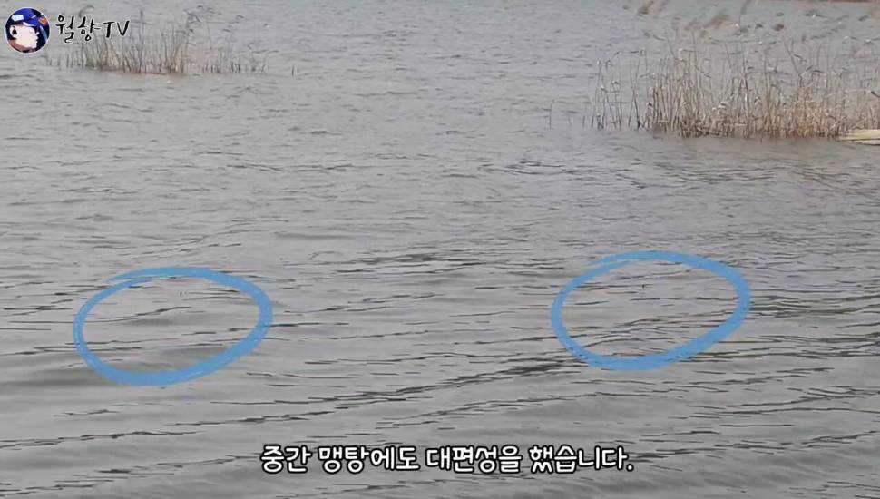 붕어낚시 홍성호에서 6치부터 4짜까지 마릿수 성공 (조황조행기 - 화보조행기)