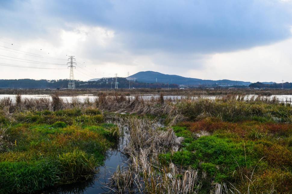 공간의 낚시 조행기 (조황조행기 - 화보조행기)