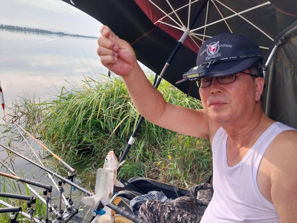 풍림화산의 물가여행 99 곡교천 다녀왔어요 (조황조행기 - 화보조행기)