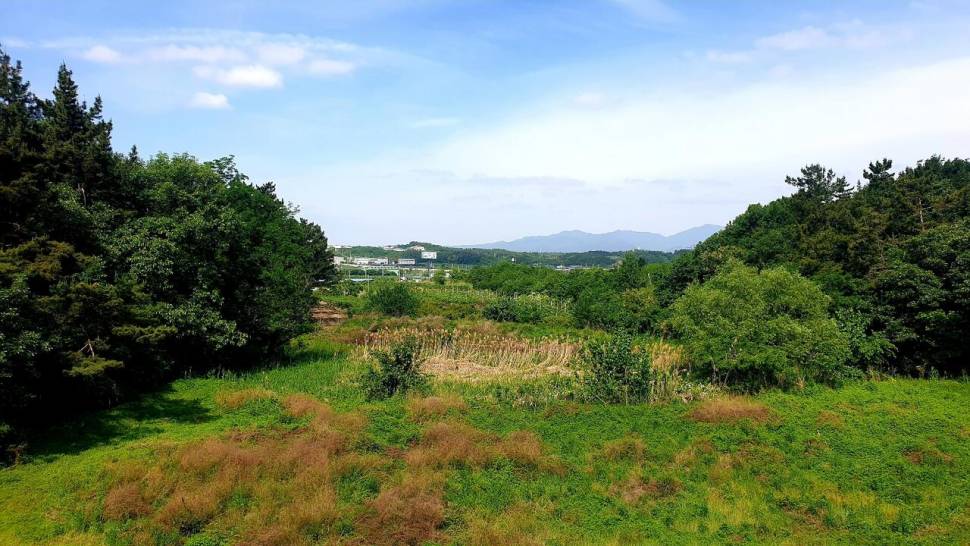 노지 조행기 시즌7화 (조황조행기 - 화보조행기)