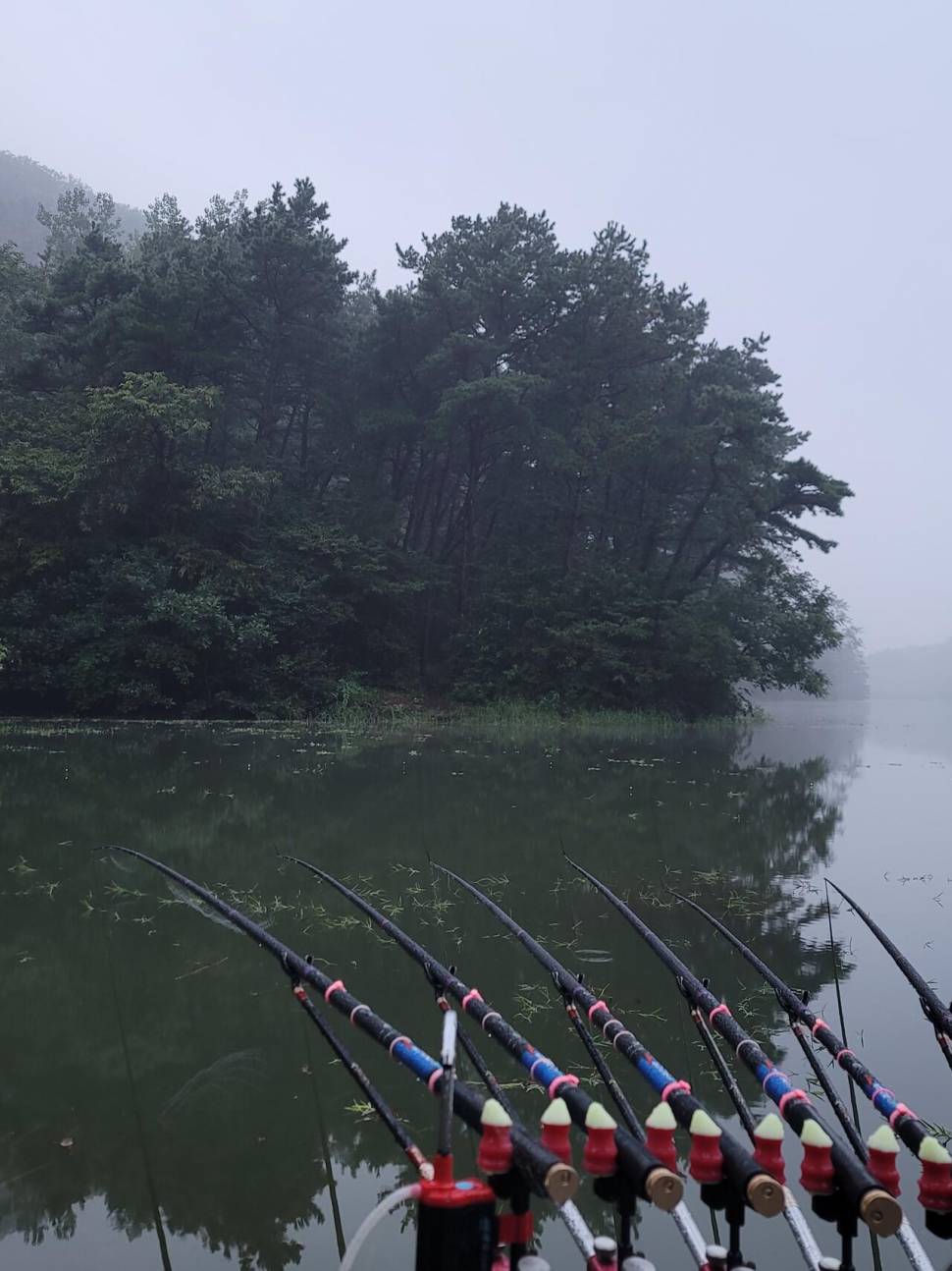 가을의 문턱에 찾은 산속 계곡지 (조황조행기 - 화보조행기)