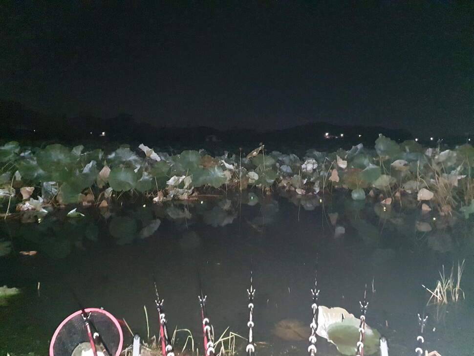 똘조우회 번개 나들이 (조황조행기 - 화보조행기)