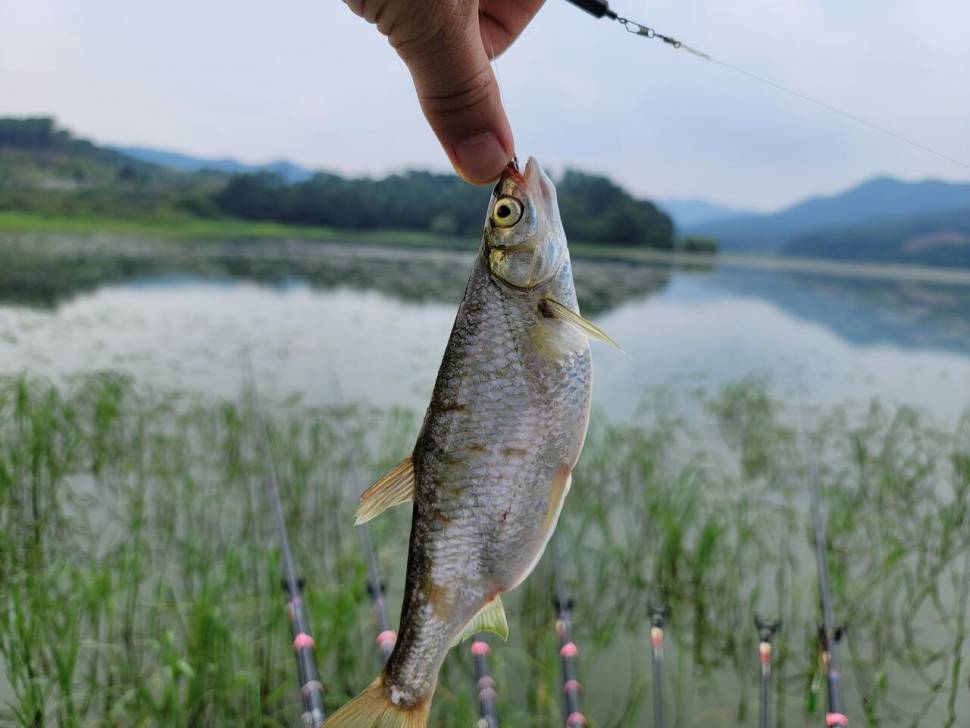 뜨거웠던 저수지에서 하룻밤 (조황조행기 - 화보조행기)
