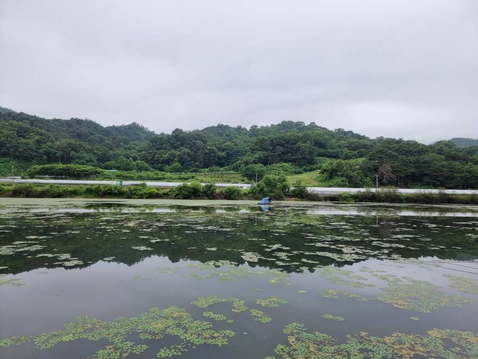 터센 오짜터 출조 (조황조행기 - 화보조행기)