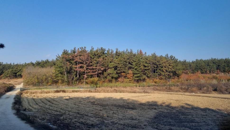 추워도 간다 (조황조행기 - 화보조행기)