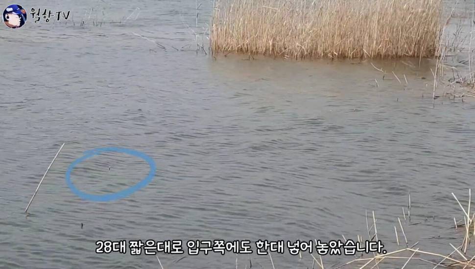붕어낚시 홍성호에서 6치부터 4짜까지 마릿수 성공 (조황조행기 - 화보조행기)