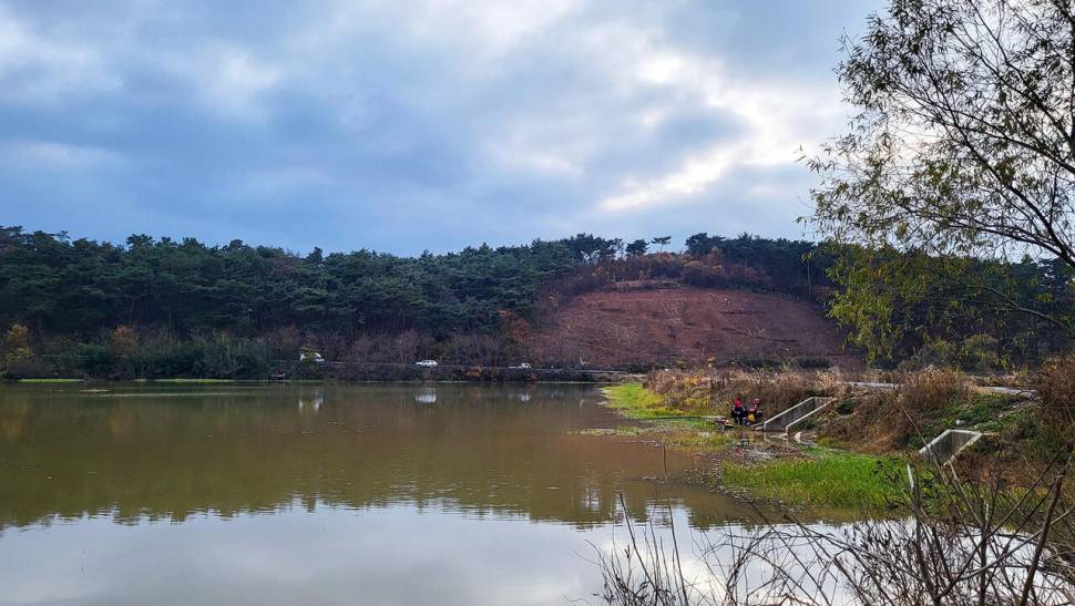 초겨울에 대어가 겨울에 오히려 호조황 (조황조행기 - 화보조행기)