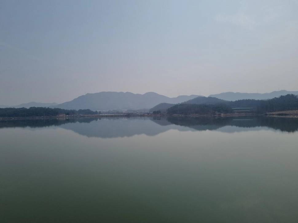 어신魚神 조우회의 3월달 정기 출조 잉어의 보은 (조황조행기 - 화보조행기)