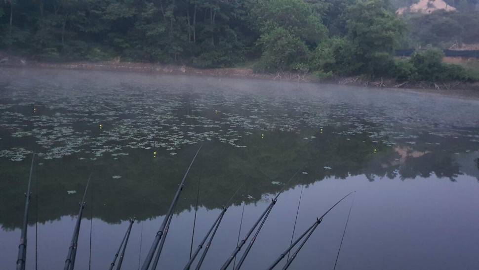 달빛아래 꾼 조행기 (조황조행기 - 화보조행기)