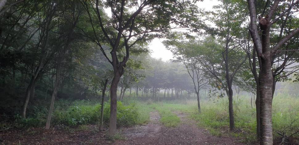 세상은 넓고 저수지는 많다 (조황조행기 - 화보조행기)