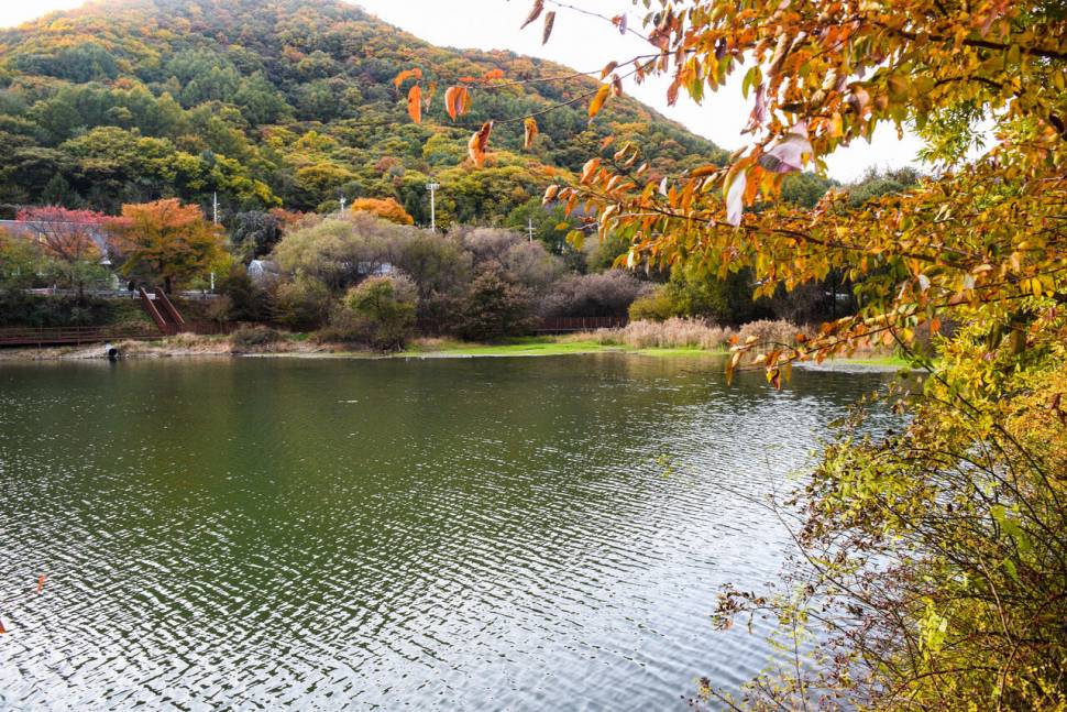 공간의 낚시 조행기 (조황조행기 - 화보조행기)