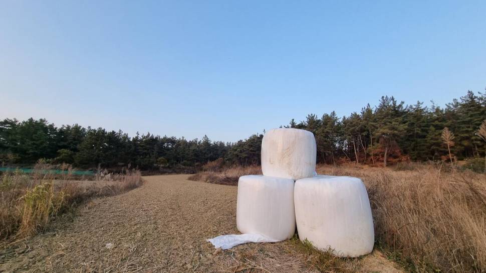 추워도 간다 (조황조행기 - 화보조행기)