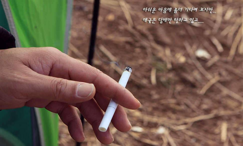 그곳으로 (조황조행기 - 화보조행기)
