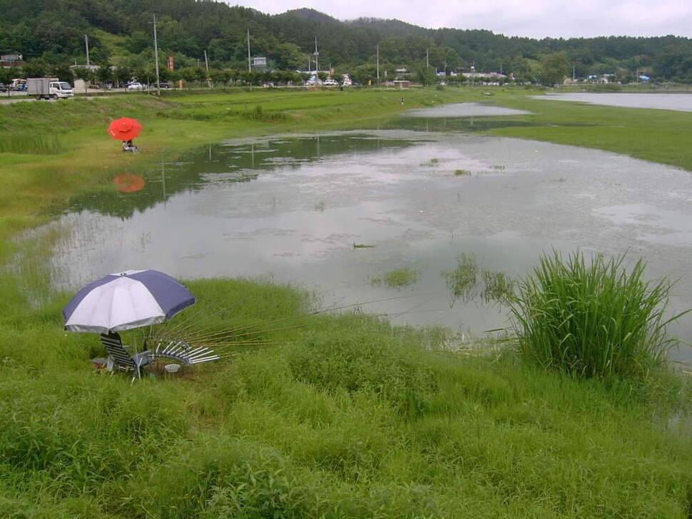 비온후를 노려라 조치원 고복지 (조황조행기 - 화보조행기)