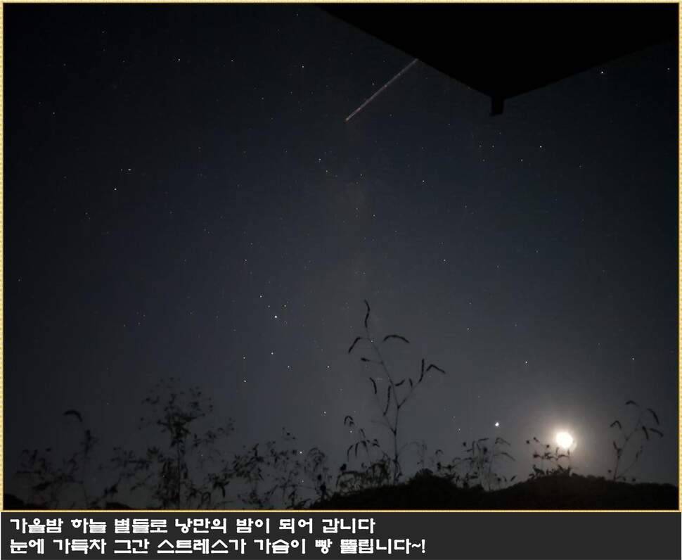 붕어에 낚이다 (조황조행기 - 화보조행기)