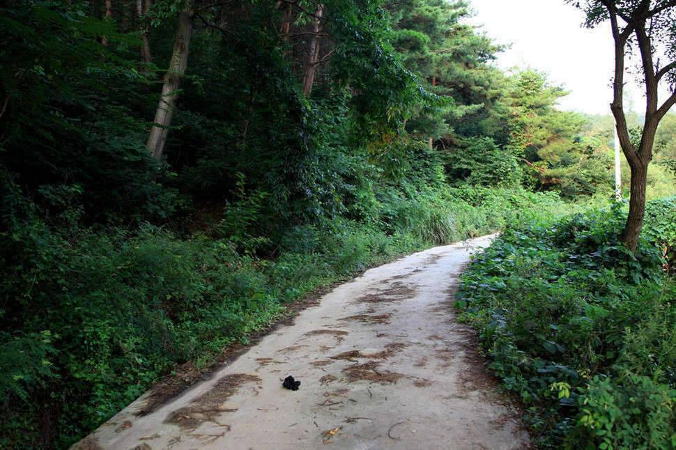 조포의 낚시여행 서산둠벙과 창촌지 (조황조행기 - 화보조행기)