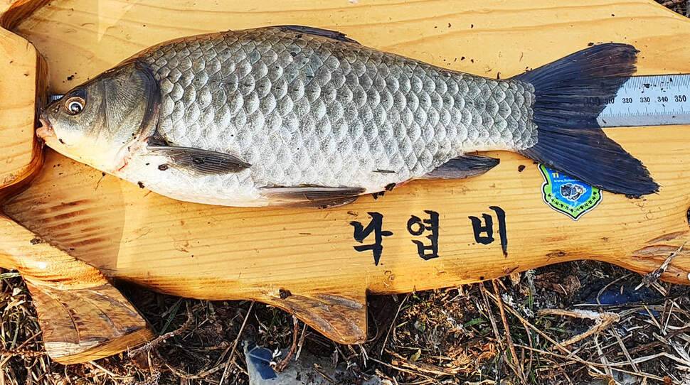 서산 성암저수지음암지 환경정화 및 혹한기 낚시 (조황조행기 - 화보조행기)