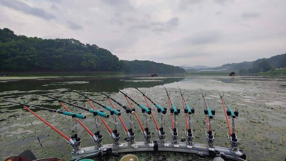 첫 보팅낚시관성지 (조황조행기 - 화보조행기)