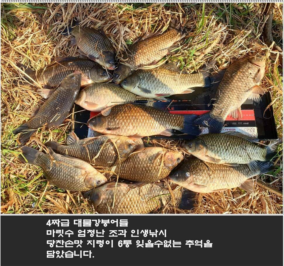 2530c8f6-f16f-49d4-ac58-8e18fea16cea.jpg