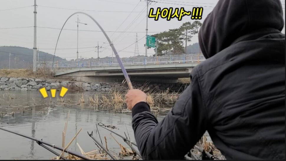 부들갈대 낮은수심 낚시 (조황조행기 - 화보조행기)