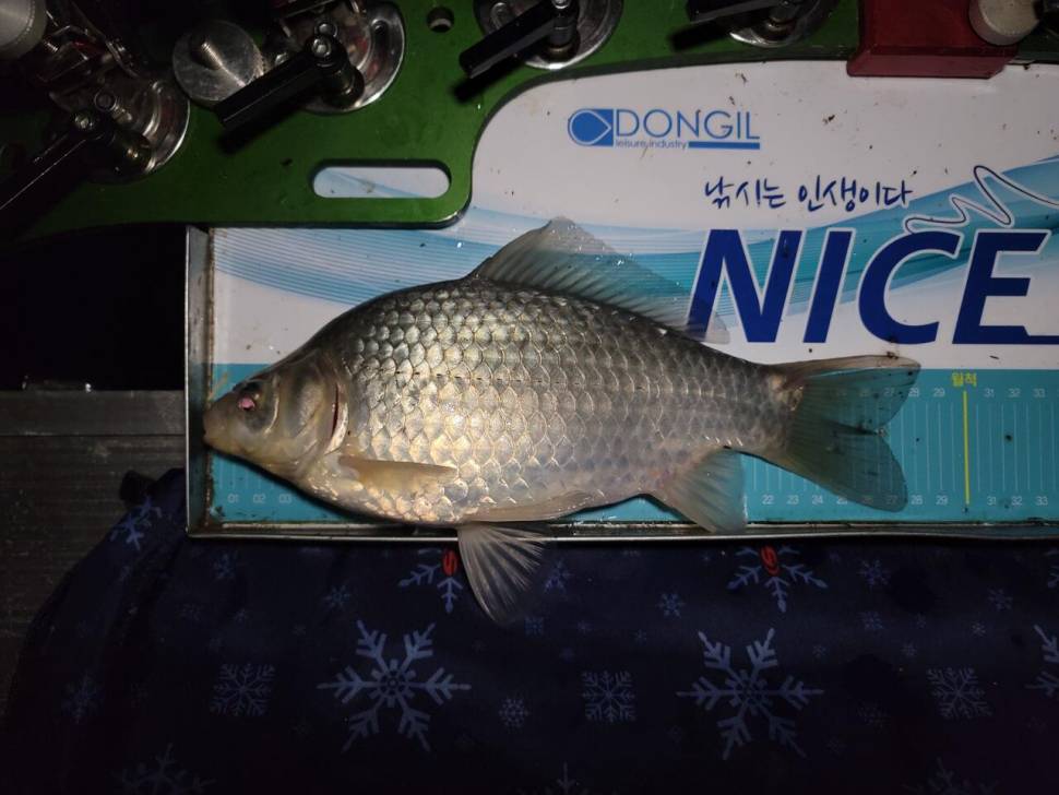 해창만에서 영암수로까지 (조황조행기 - 화보조행기)