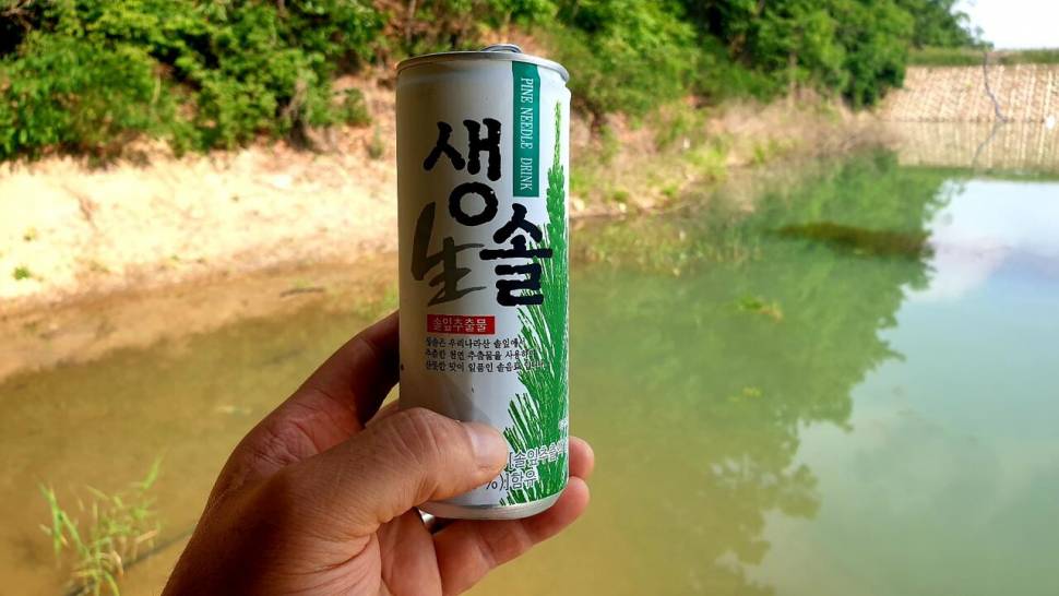 노지 조행기 시즌10화 배수기 짬낚 (조황조행기 - 화보조행기)
