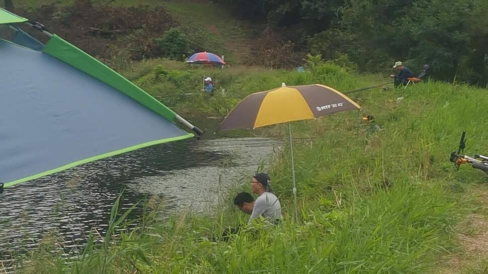 추석연휴 저수지마다 자리가 없다경산 천마지 (조황조행기 - 화보조행기)