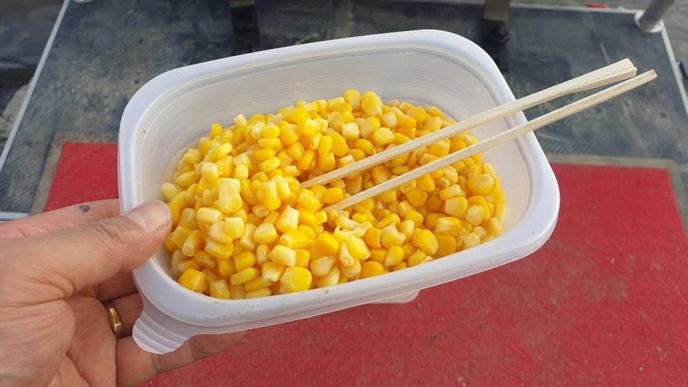 미동없는 찌를 바라보며 (조황조행기 - 화보조행기)