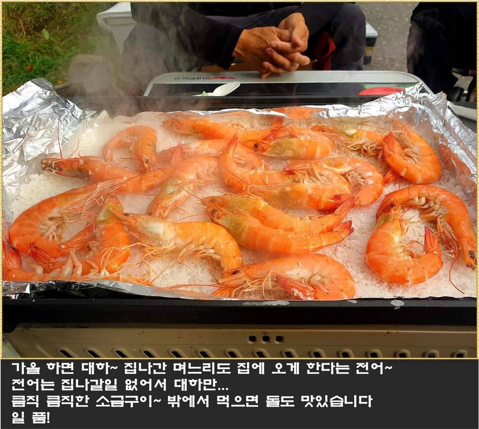 붕어에 낚이다 (조황조행기 - 화보조행기)