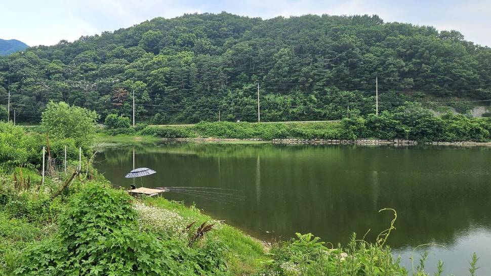 2025년 어신魚神 조우회의 6월 정기 출조폭염 (조황조행기 - 화보조행기)