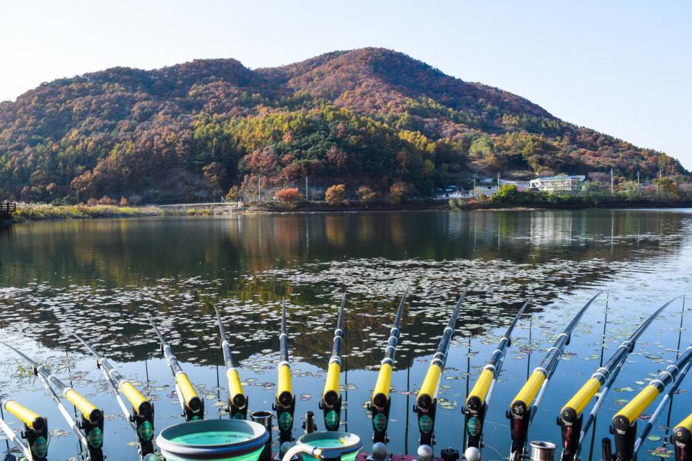 공간의 낚시 조행기 (조황조행기 - 화보조행기)