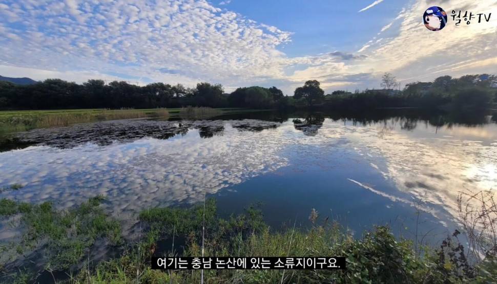 보고 싶었어 붕어야 논산 소류지 붕어 낚시 다녀 왔어요 (조황조행기 - 화보조행기)