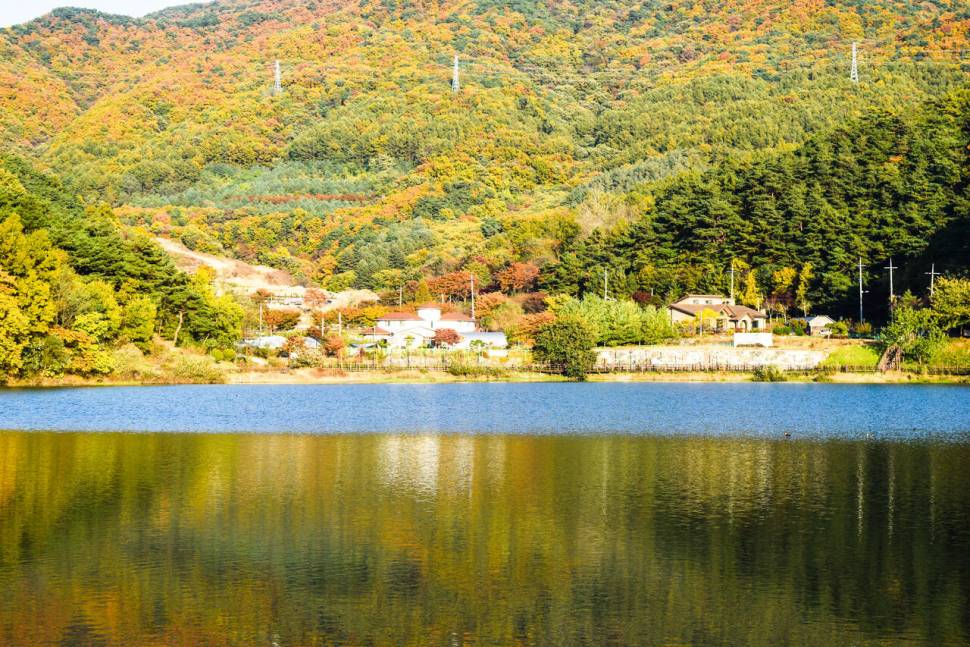 공간의 낚시 조행기 (조황조행기 - 화보조행기)