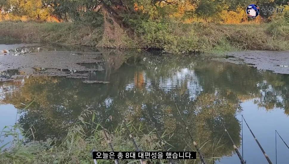 담양 봉산수로 현지인 애장터에서 놀다가 왔어요 (조황조행기 - 화보조행기)