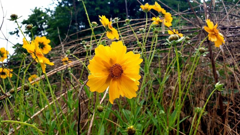 노지 조행기 시즌8화 (조황조행기 - 화보조행기)