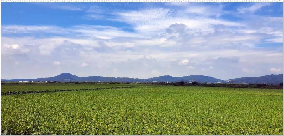 허리급3마리조금 잡았습니다 (조황조행기 - 화보조행기)