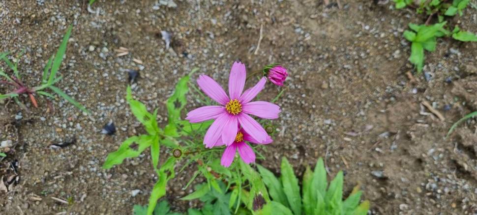 꽝 없는 곳으로 (조황조행기 - 화보조행기)