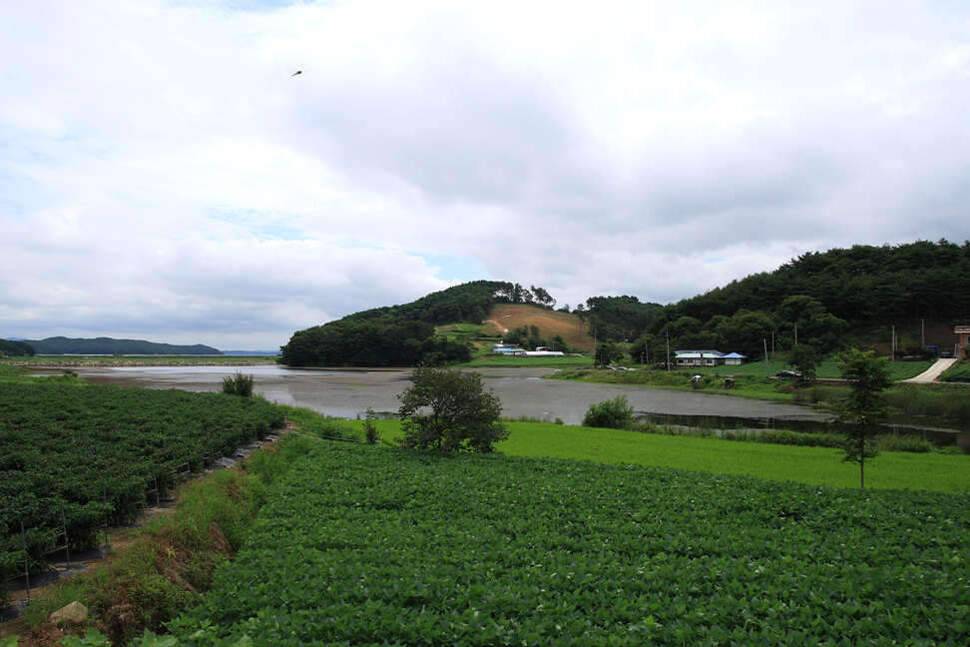 조포의 낚시여행 서산둠벙과 창촌지 (조황조행기 - 화보조행기)