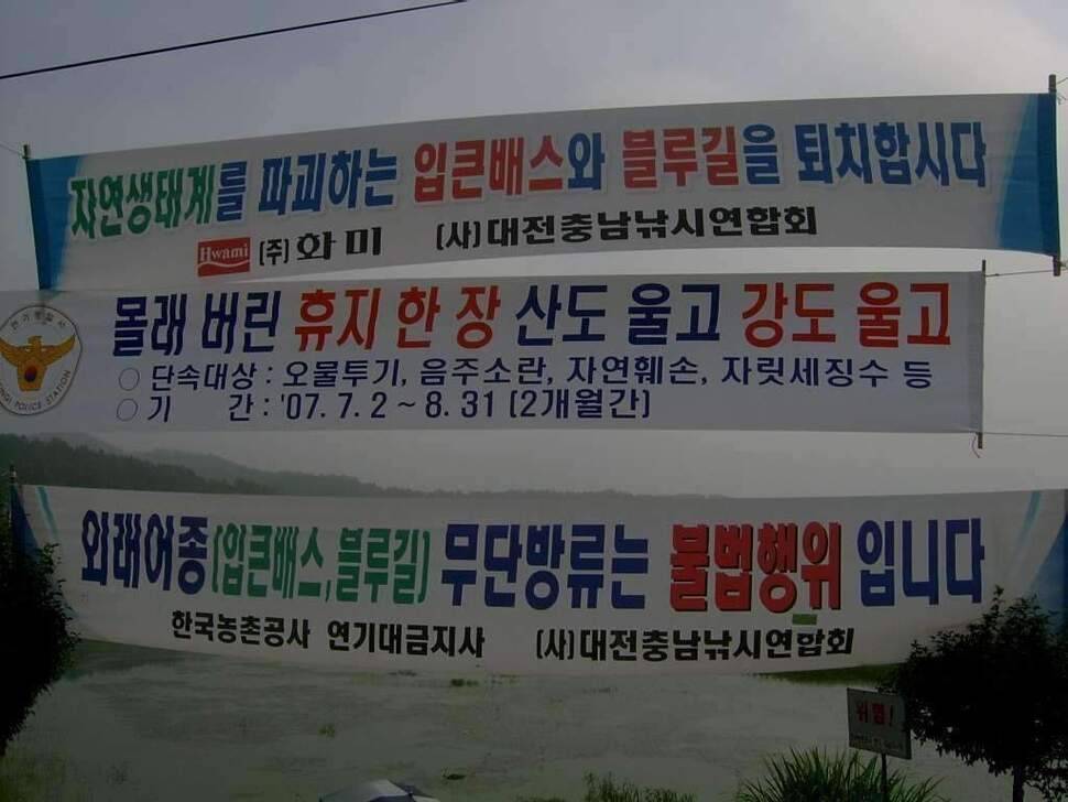비온후를 노려라 조치원 고복지 (조황조행기 - 화보조행기)