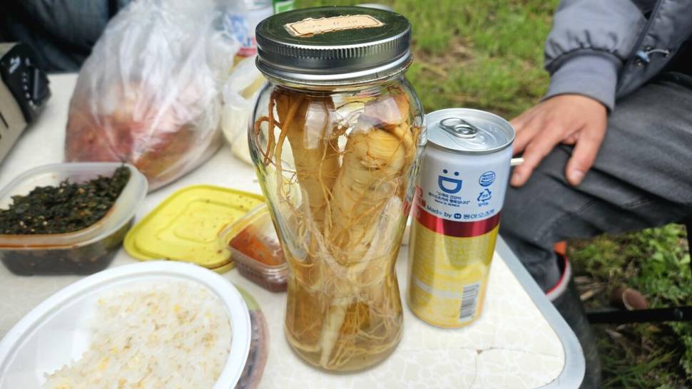 오라지 다시는 오나봐라 (조황조행기 - 화보조행기)