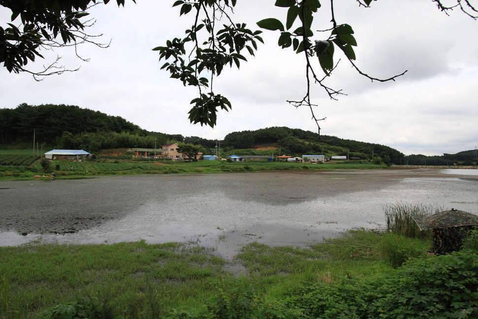 조포의 낚시여행 서산둠벙과 창촌지 (조황조행기 - 화보조행기)