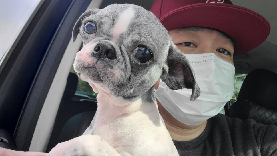 답사다녀온 이야기 (조황조행기 - 화보조행기)