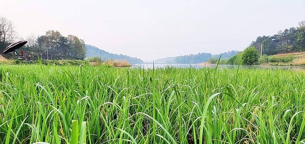 경북권 (조황조행기 - 화보조행기)