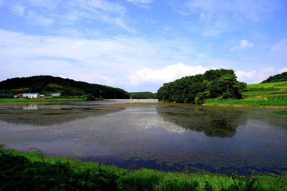 조포의 낚시여행 서산둠벙과 창촌지 (조황조행기 - 화보조행기)