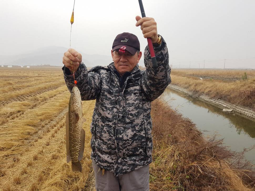 풍림화산의 물가여행 90 강화수로 출조이야기 (조황조행기 - 화보조행기)