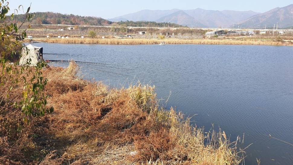 피싱패밀리 돌아온스테고 (조황조행기 - 화보조행기)